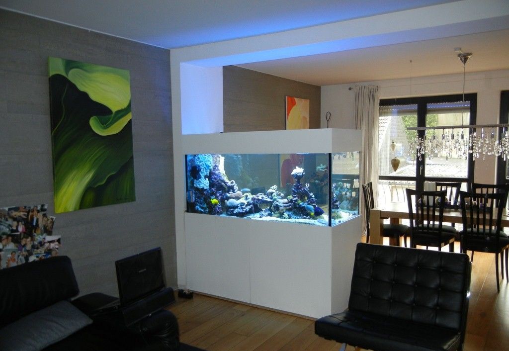 aquarium-hauptansicht-von-800l.jpg aquarium-hauptansicht-von-800l.jpg