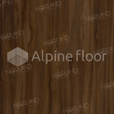 Изображение Орех Инис - 4