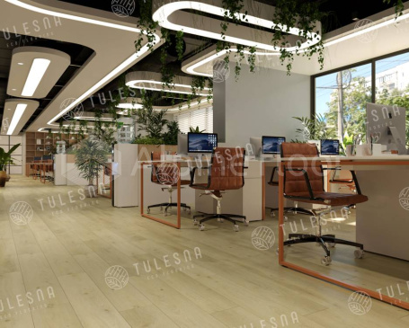 Изображение MODESTO - 3