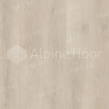 Изображение Alva - 5