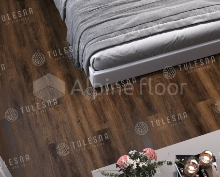 Изображение CIELO - 5