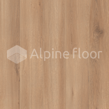 Изображение Aura - 4