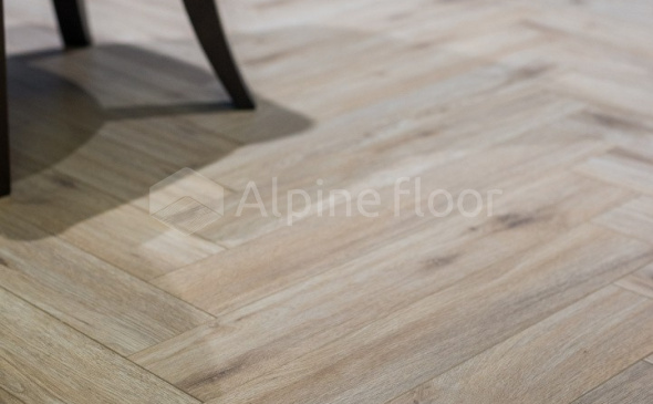 Herringbone 8 в программе «Большие перемены» - 8