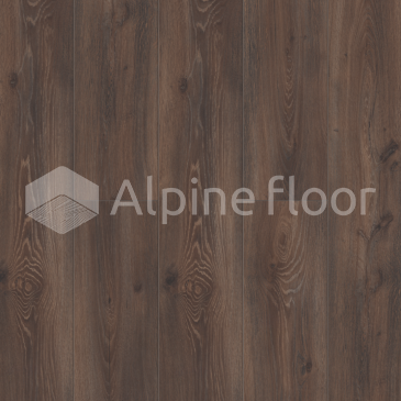 Изображение Дуб Природный Изысканный - 1