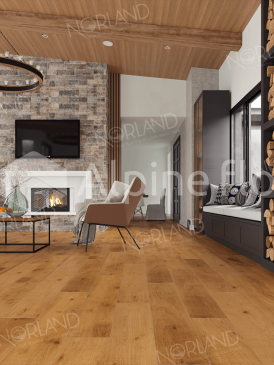 Изображение Дуб Помона - 2
