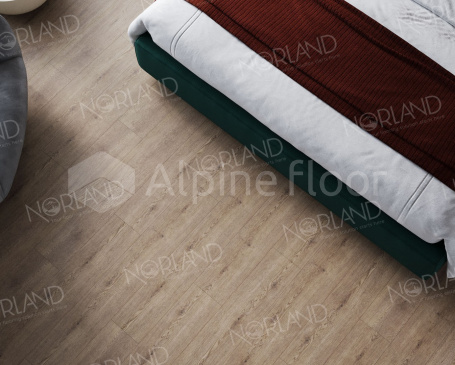 Изображение Flosi - 4