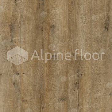 Изображение Дуб Бирмингем - 4