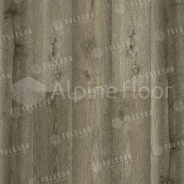 Изображение FORESTA - 2