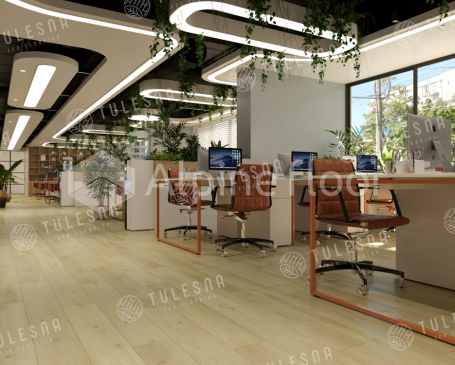 Изображение Modesto - 2