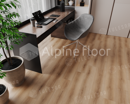 Изображение Bellone - 4