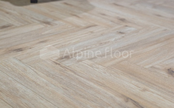 Herringbone 8 в программе «Большие перемены» - 6