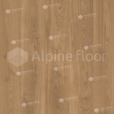 Изображение Oak Sajo - 2