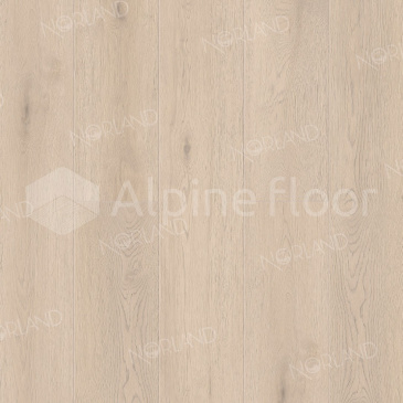 Изображение Alante - 6