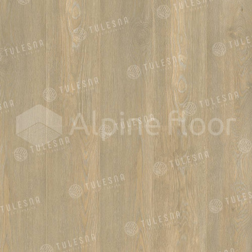 Изображение ELEGANTE - 2