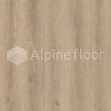 Изображение ACCURA - 5