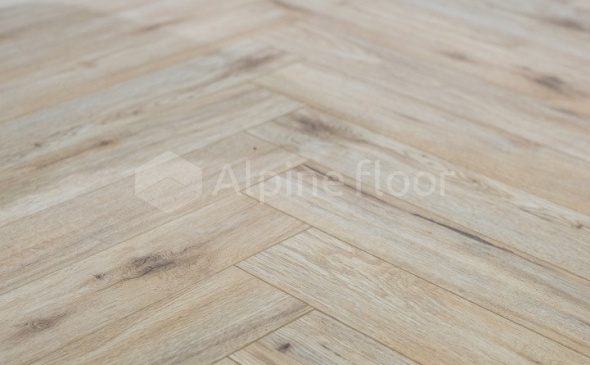 Herringbone 8 в программе «Большие перемены» - 7