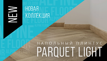 Новинка! Коллекция напольного плинтуса Parquet Light